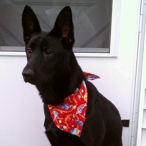 Meet your Posher, John